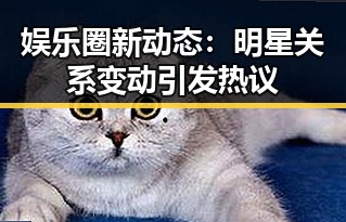 娱乐圈新动态：明星关系变动引发热议