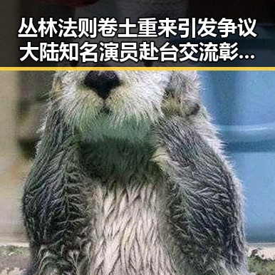 丛林法则卷土重来引发争议 大陆知名演员赴台交流彰显文化反差