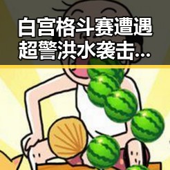 白宫格斗赛遭遇超警洪水袭击引发联邦调查局挫败针事件猜测