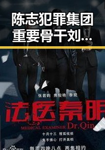 陈志犯罪集团重要骨干刘被柬埔寨押解回国 与吴某雄辞退事件引发关注