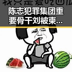 陈志犯罪集团重要骨干刘被柬埔寨押解回国 与吴某雄辞退事件引发关注