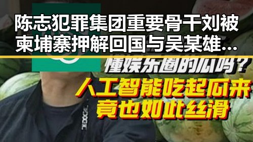 陈志犯罪集团重要骨干刘被柬埔寨押解回国 与吴某雄辞退事件引发关注