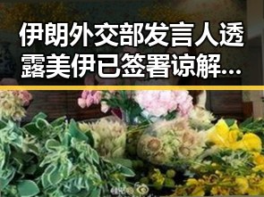 伊朗外交部发言人透露美伊已签署谅解备忘录两部门紧急预拨1亿元支持6省应急抢险救灾
